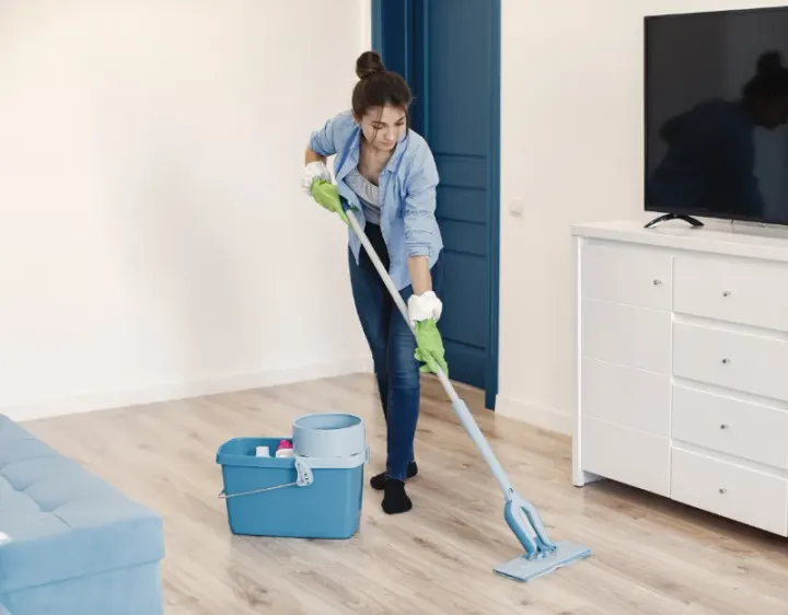 Femme de ménage Feneu